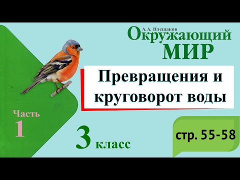 Видео: Превращения и круговорот воды. Окружающий мир. 3 класс, 1 часть. Учебник А. Плешаков стр. 55-58