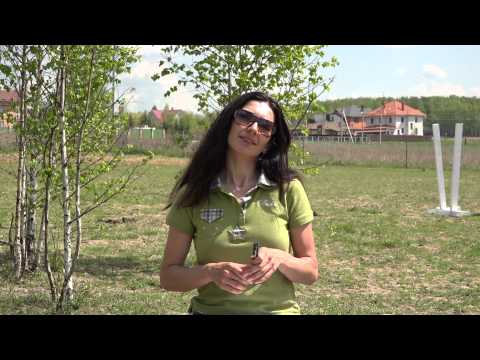 Видео: Поклон