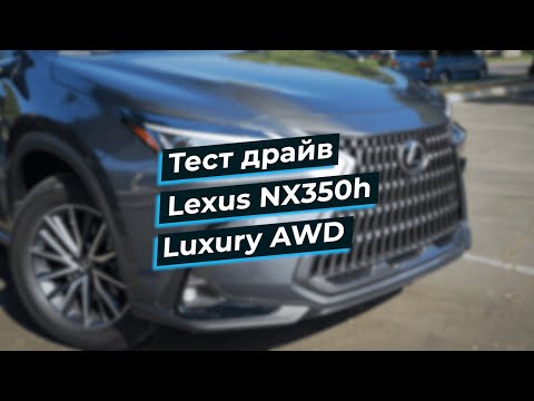 Видео: Обзор Lexus NX 350 h AWD 2025 года. Цена и комплектация!