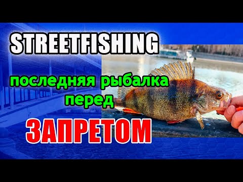 Видео: Streetfishing. Перед Запретом.