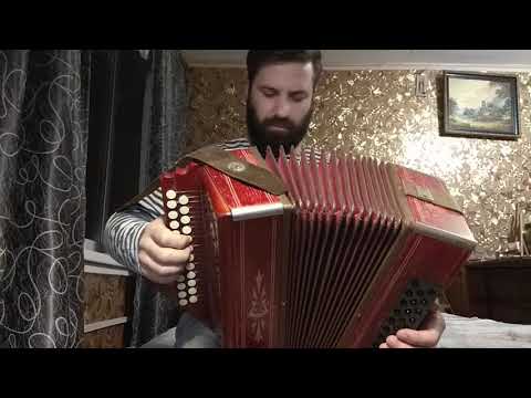 Видео: Шуйская Гармонь Лира.