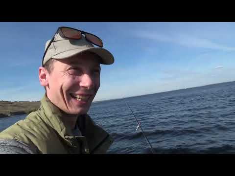 Видео: Ветер дует а мы на рыбалке
