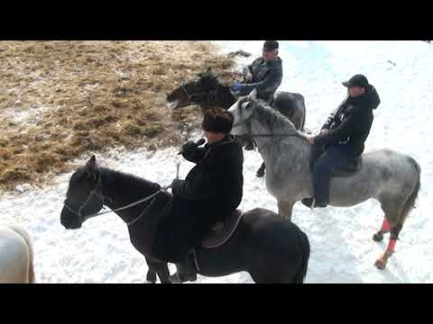 Видео: 29 01 2023 Қазығұрт ауданы