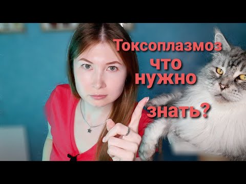 Видео: Токсоплазмоз. Основное что нужно знать.