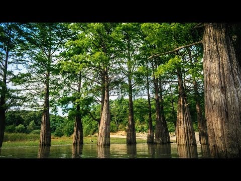 Видео: Кипарисовое озеро Сукко, Большой Утриш