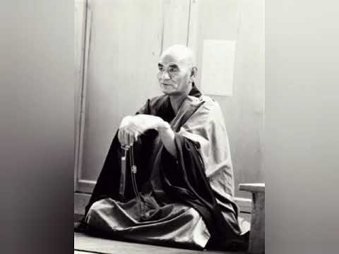 Видео: Тайсен Десимару. Ум Дзен (вопросы и ответы)