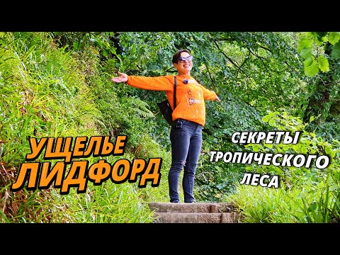 Видео: Ущелье Лидфорд, Англия - Место для души!