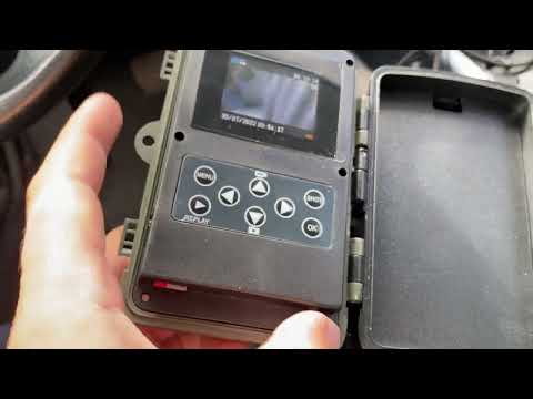 Видео: Фотоловушка на пасеку , высоко сижу далеко гляжу