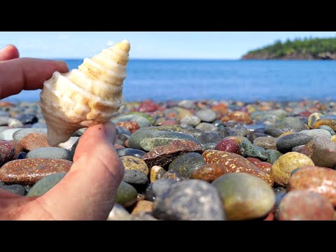 Видео: Сбор ракушек и пляжных камней в Канаде и штате Мэн за один день — пляжные камни и ракушки-альбиносы!