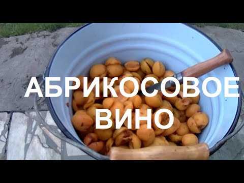 Видео: 94  КАК СДЕЛАТЬ ДОМАШНЕЕ АБРИКОСОВОЕ  ВИНО// ВКУСНЫЙ РЕЦЕПТ