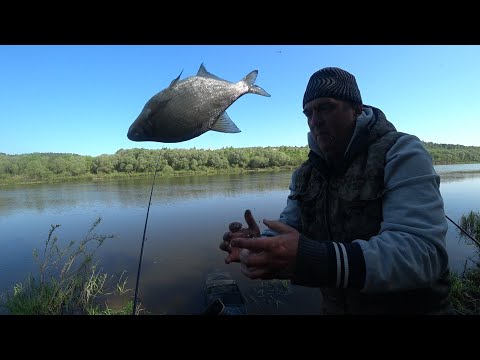 Видео: ОКА балует рыбой, переехал в другое место, и......