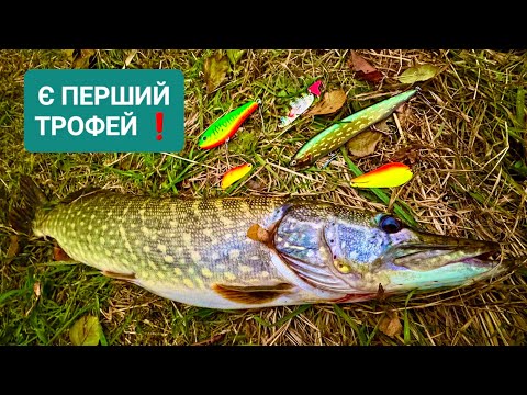 Видео: ⚠️ ОСІННІЙ 🍂 ЖОР ЩУКИ 2025 😱 НА ЩО КЛЮЄ ТРОФЕЙНА ЩУКА ⁉️ Робочі ПРИМАНКИ та КОЛЬОРИ для Щуки ✅️
