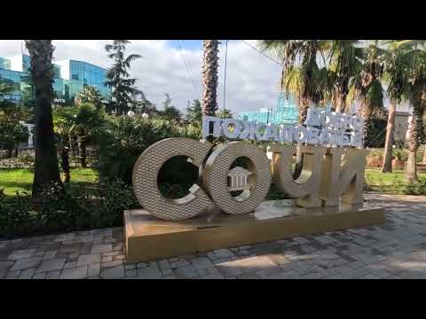 Видео: Новый 2025 год в Сочи!