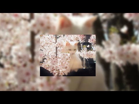 Видео: рандом песни из тт