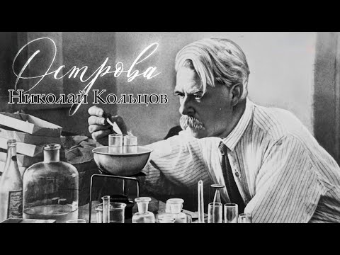 Видео: Николай Кольцов. Загадка жизни // Острова
