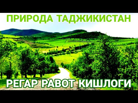 Видео: Природа Таджикистан Ширкент ва Равот кишлоглари Регар Турсунзода 2023 согинганлар борми