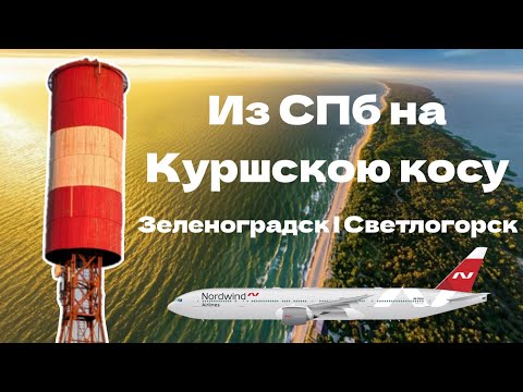 Видео: Из Санкт-Петербурга на Куршскую косу! Зеленоградск | Светлогорск