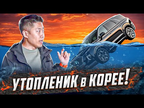 Видео: Утопленник в Корее! Такого у нас ещё не было. Palisade, Santa Fe.