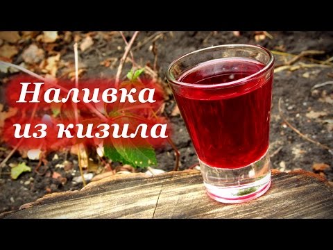 Видео: Наливка из кизила, неповторимый аромат и вкус