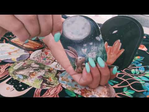 Видео: Любимият настоя да сподели чувствата си 💌👀💞