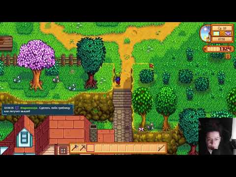 Видео: Нападение кота в прямом эфире (Запись стрима 06.09.24) -//-//- Stardew Valley Ч.3.