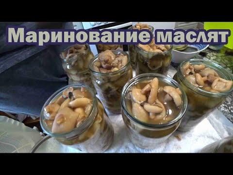 Видео: Маринование маслят