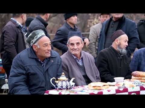 Видео: Турахон ово хонадонларида туй "нахор оши" 30.11.2023
