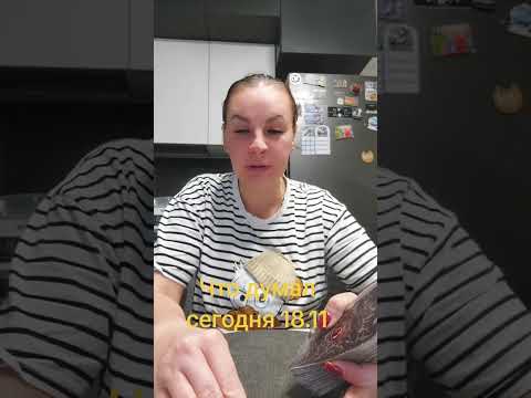 Видео: Что думал сегодня 18.11.ВАТСАП И ТЕЛЕГРАММ +79313131879