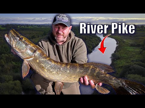 Видео: Ловля речной щуки на мертвую наживку