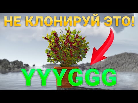 Видео: Лучшие гены в RUST! Почему YYYGGG — не топ?
