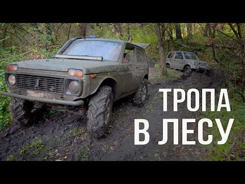 Видео: Пробиваемся по лесной тропе