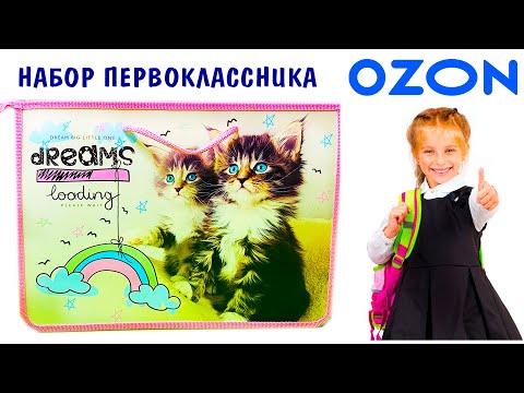 Видео: Обзор НАБОРА ПЕРВОКЛАССНИКА 35 предметов МЕЧТА КОТЯТ