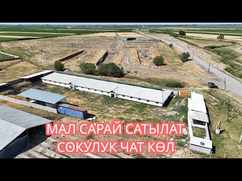 Видео: МАЛ САРАЙ САТЫЛАТ СОКУЛУК ЧАТ КӨЛ 2025