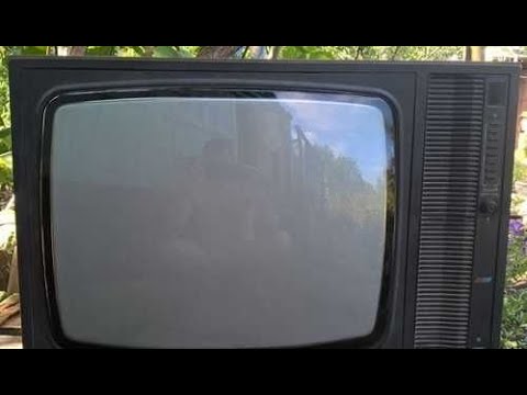 Видео: Что взять из телевизора?Разбор Витязь 51 ТЦ 346 Д