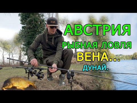 Видео: Австрия. Вена. Поймать рыбу в Дунае...Сколько стоит?..