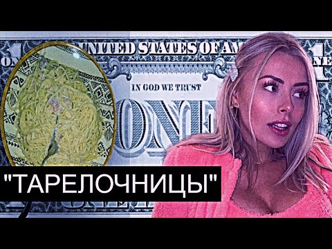 Видео: Тарелочницы/БиоГайд