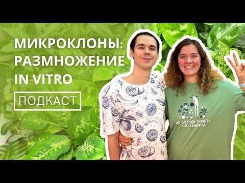 Видео: Микроклональное размножение 🪴 in vitro