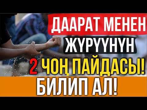 Видео: Даараттын эң чоң пайдасы! // Сиз уга элек пайдалар.
