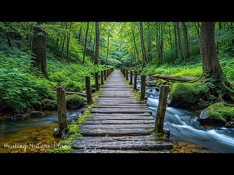 Видео: Красивая расслабляющая музыка🌿 Спокойные звуки природы, исцеляющая музыка для внутреннего покоя