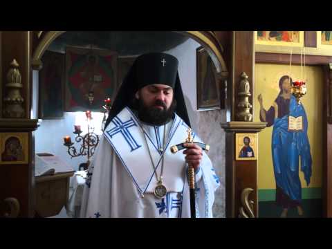 Видео: Кто наполняет наши сети