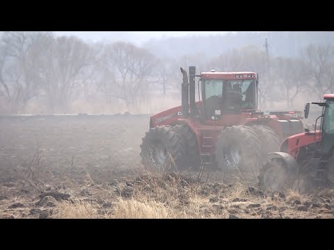 Видео: Сельское хозяйство Приморья. Большой репортаж