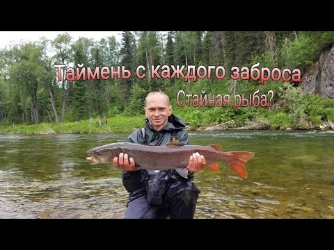 Видео: Бешеный клёв тайменя. Неудавшийся поход
