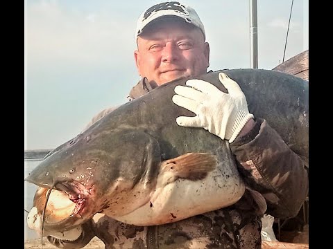 Видео: Открытие летней рыбалки! часть1.