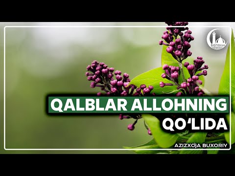 Видео: Қалблар Аллоҳнинг қўлида. Азизхўжа Бухорий