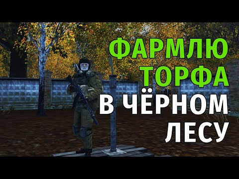 Видео: 122. Фармлю Торфа в Чёрном Лесу. Сталкер Онлайн | Stalker Online | Stay Out. RU2.