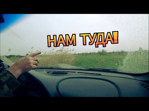 Видео: Разведка новых мест. Коп в зарослях. Комары ели нас, а мы комаров