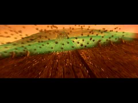 Видео: Ария - Битва.avi