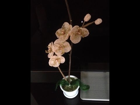Видео: ОРХИДЕЯ ПЕРСИКОВАЯ из БИСЕРА. Tutorial: Beaded ORCHID. Часть 3/3. БИСЕРОПЛЕТЕНИЕ для НАЧИНАЮЩИХ