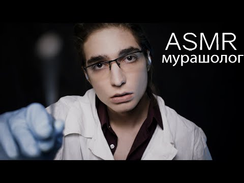 Видео: АСМР ДЛЯ ТЕХ У КОГО НЕТ МУРАШЕК 😴 Доктор Мурашолог 🎧 100% МУРАШКИ ✨ ASMR Roleplay