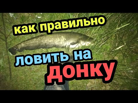 Видео: Ловля сома! Как правильно установить донку! Лайфхак!